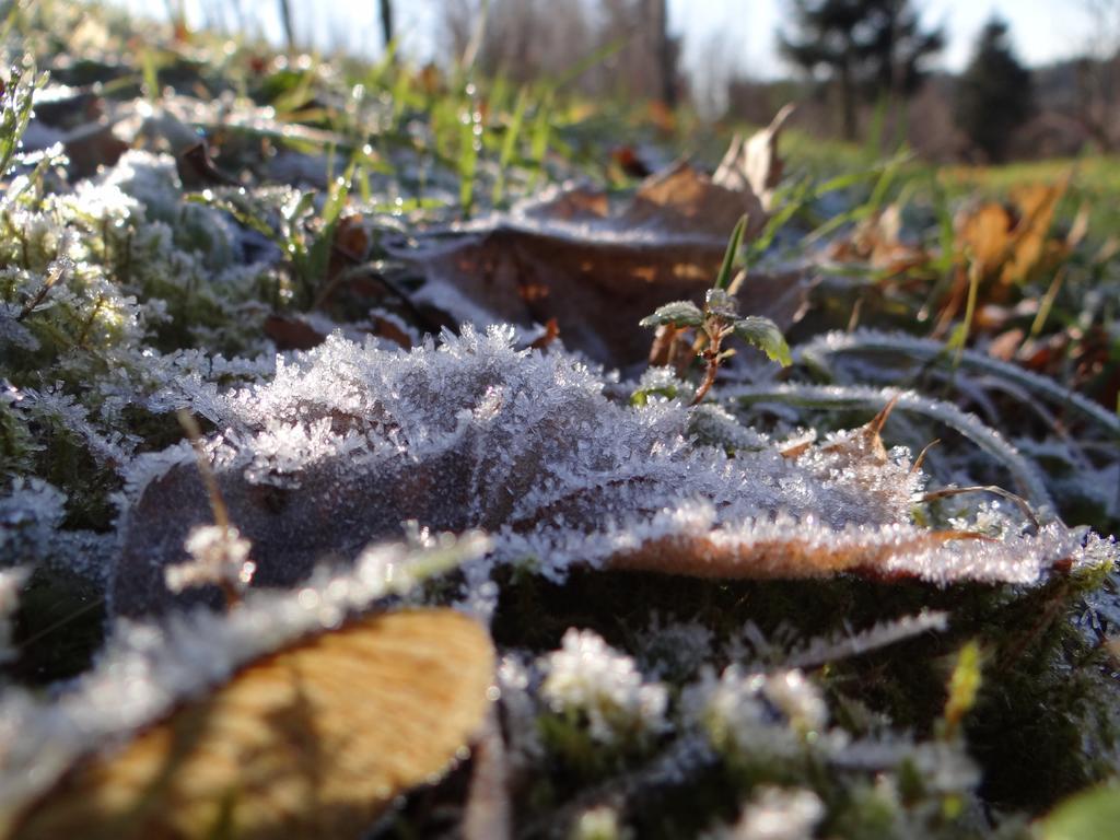 Penzion Pod Kopcem Janov nad Nisou Esterno foto